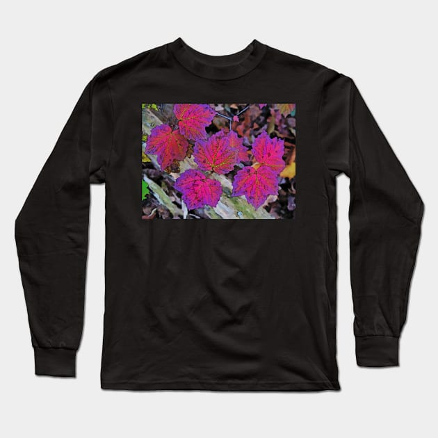 Maple Reds Long Sleeve T-Shirt by EileenMcVey